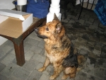 090727 Karis_ BDay 011